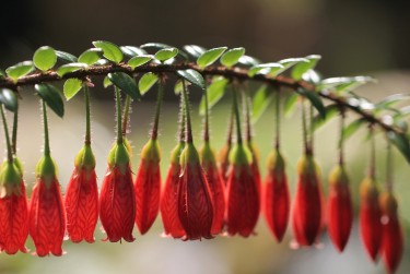 惠州龙门8私人快速借钱网，轻松解决资金难题